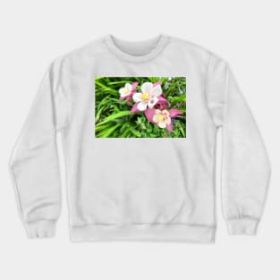 Columbine - Granny's Bonnet Crewneck Sweatshirt